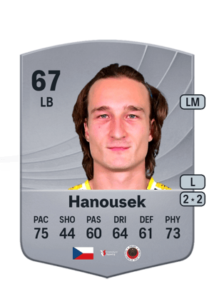 Matěj Hanousek