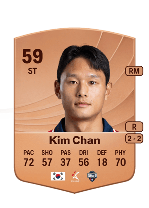 Kim Chan