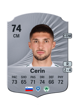 Adam Gnezda Čerin