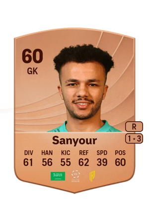 Meshari Sanyour