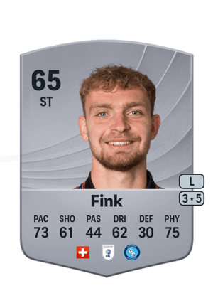 Bradley Fink