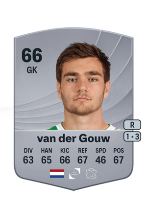 Ennio van der Gouw