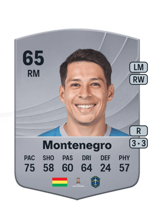 Juan Montenegro
