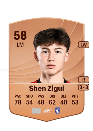 Shen Zigui