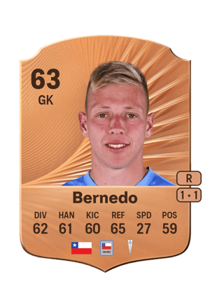 Vicente Bernedo