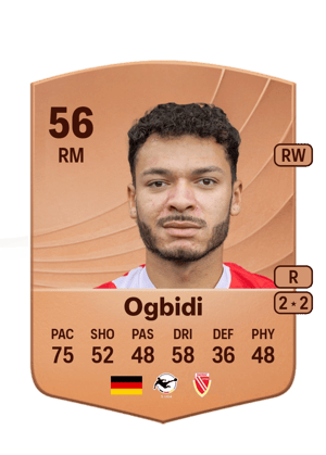 Theo Ogbidi