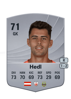 Niklas Hedl