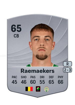 Toon Raemaekers