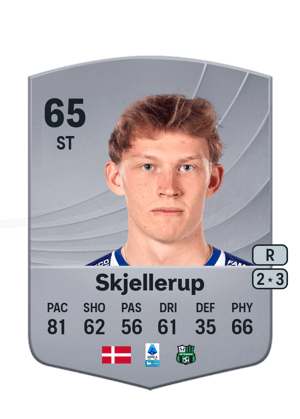 Laurs Skjellerup