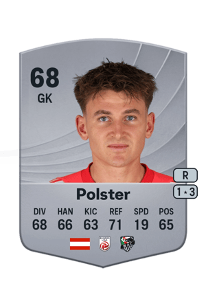 Nikolas Polster