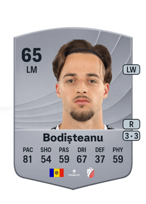 Ștefan Bodișteanu