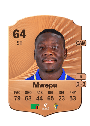 Francisco Mwepu