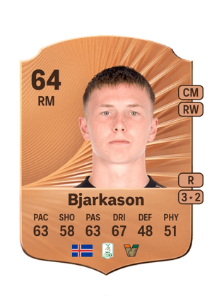 Bjarki Steinn Bjarkason
