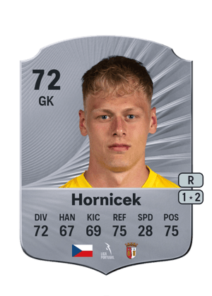 Lukas Hornicek