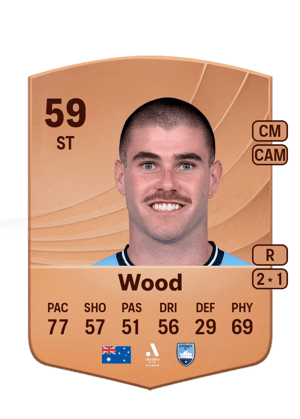Patrick Wood
