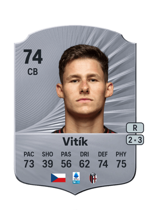 Martin Vitík