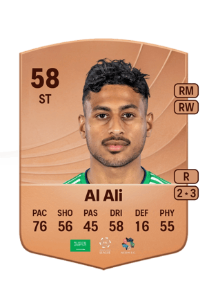 Hassan Al Ali