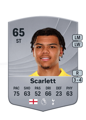 Dane Scarlett