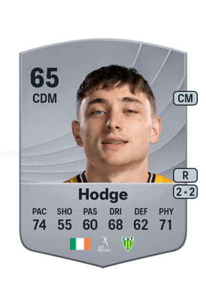 Joe Hodge