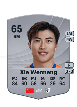 Xie Wenneng
