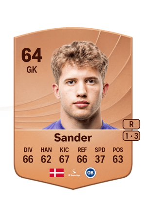 Theo Sander
