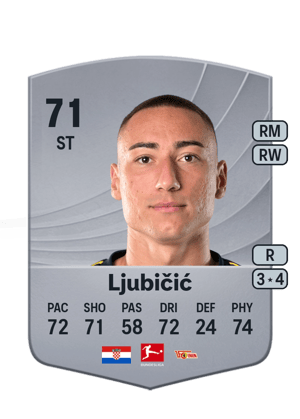 Marin Ljubičić