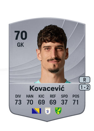 Vladan Kovacević