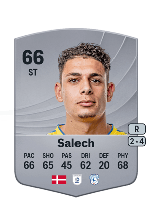 Yousef Salech