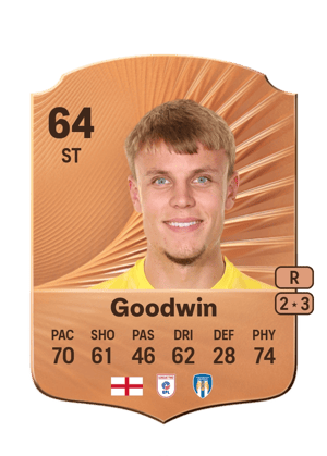 Will Goodwin