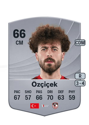 Ogün Özçiçek