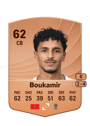 Mehdi Boukamir