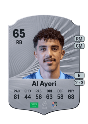 Abdulmalek Al Ayeri