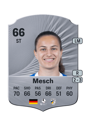 Hannah Mesch
