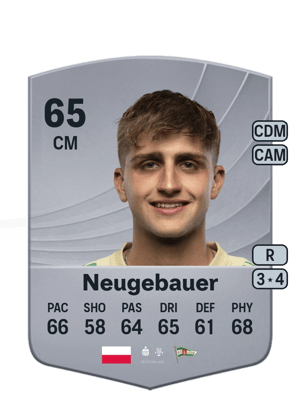 Tomasz Neugebauer
