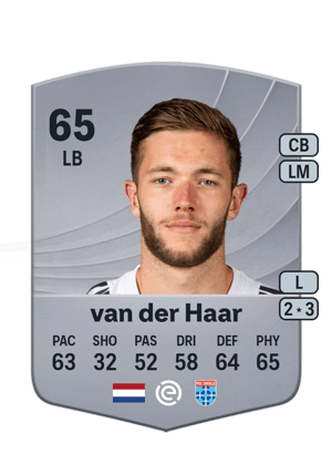 Damian van der Haar