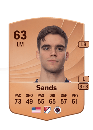 Will Sands