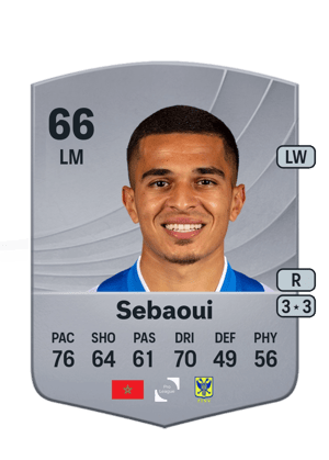 Ilias Sebaoui