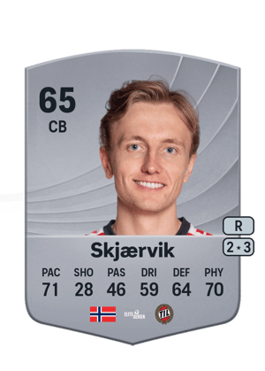 Vetle Skjærvik