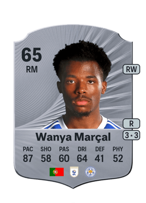 Wanya Marçal
