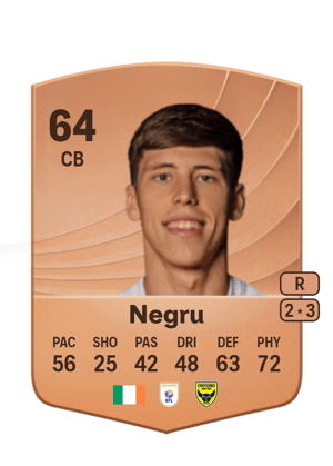 Stephan Negru