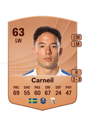 Hussein Carneil