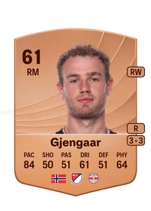 Dennis Gjengaar