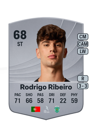 Rodrigo Ribeiro