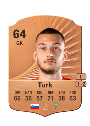 Martin Turk