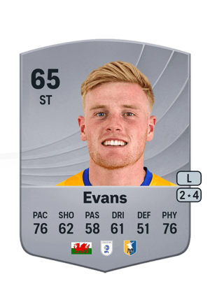 Will Evans