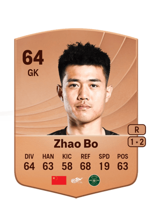 Zhao Bo