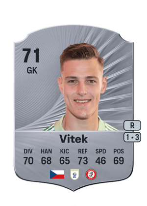 Radek Vitek