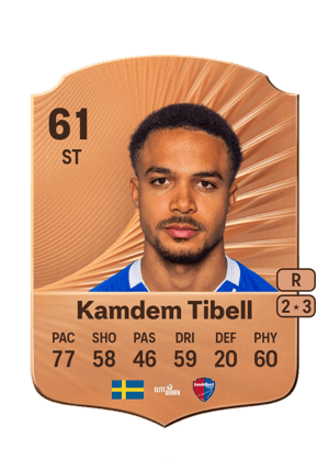 Darrell Kamdem Tibell