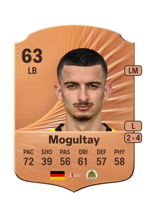 Baran Mogultay