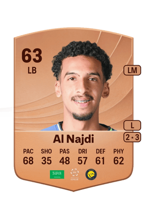 Salem Al Najdi